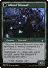 Infestation Expert (Back)