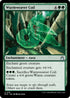 Wurmweaver Coil