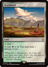 Brushland