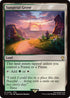 Sunpetal Grove