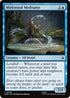 Mirkwood Meditator