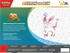 *Pre-Order* Pokémon - 30th Celebration - Sylveon Ex Collection Box
